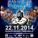 mixfightgala